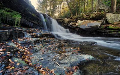 Mindfulness: A practice of shifting attention